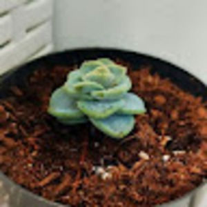 Meet your Posher, Ed